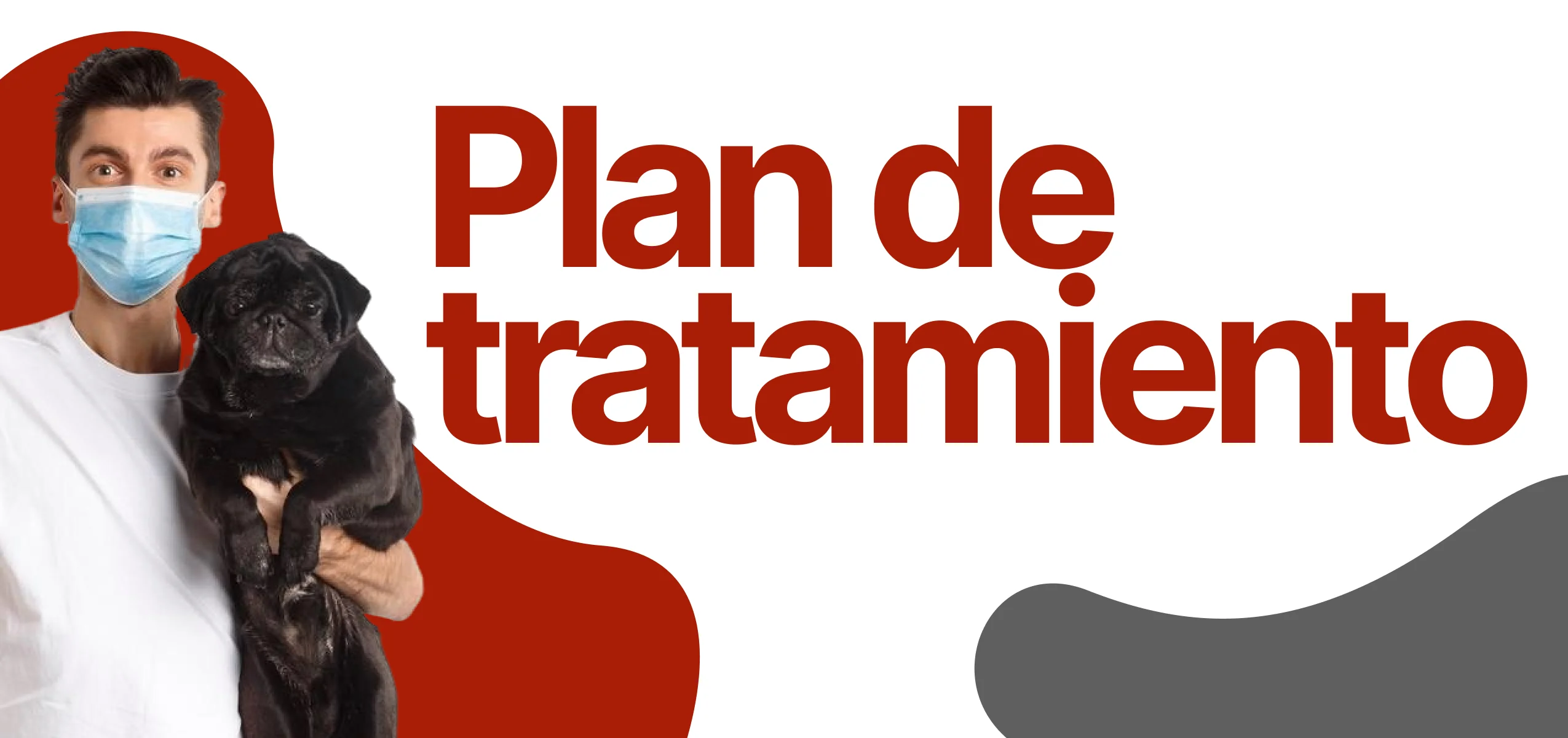 Profesional con paciente referenciando el módulo de plan de tratamiento del sistema VETDESK Académico