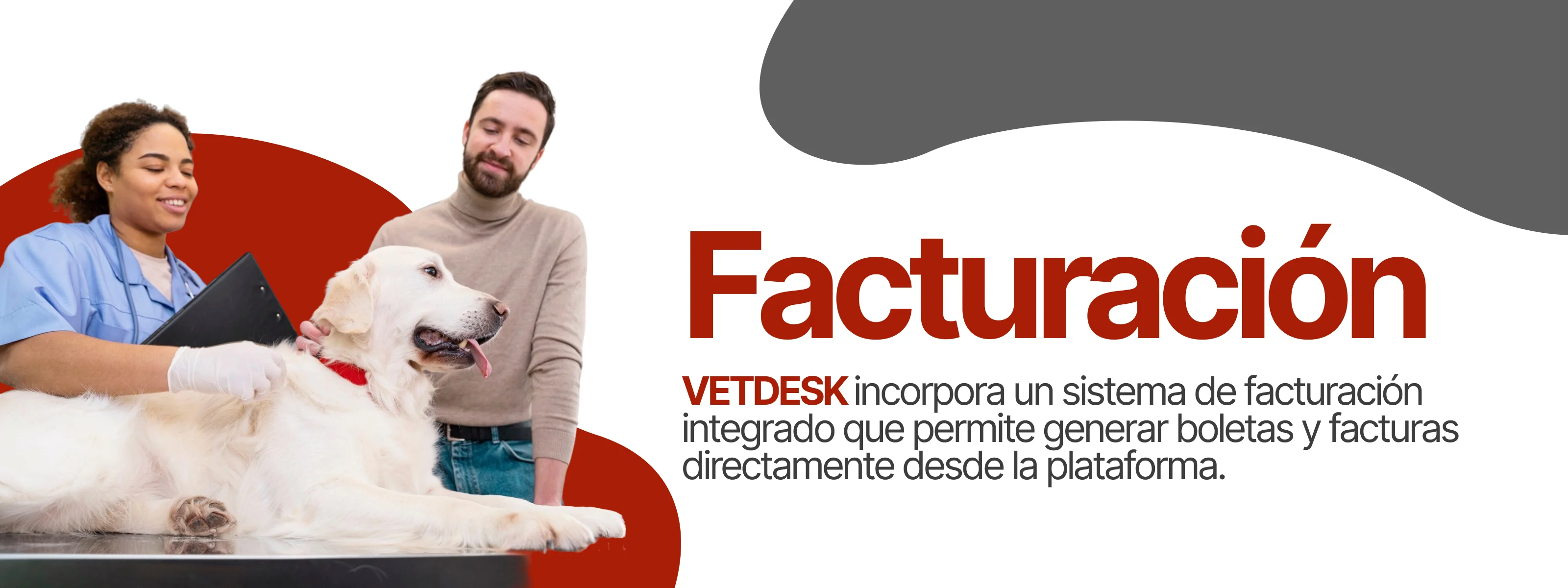 Facturación del sistema VETDESK