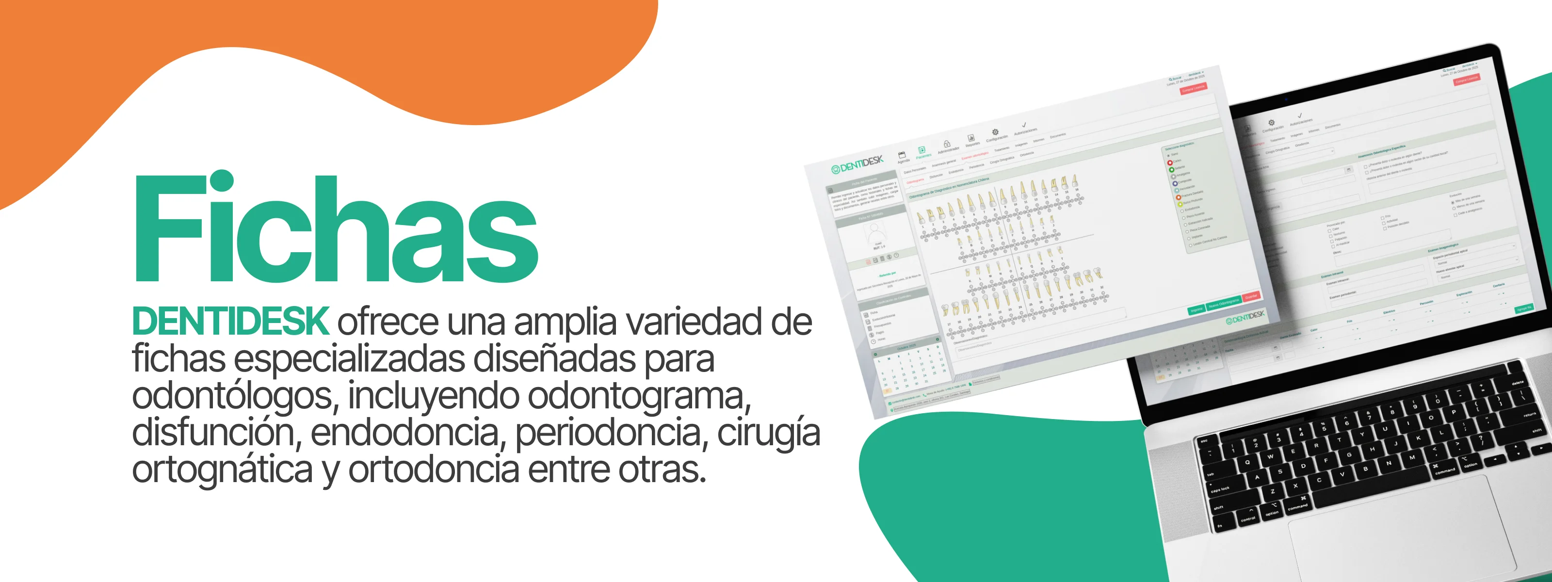 Fichas médicas del sistema DENTIDESK