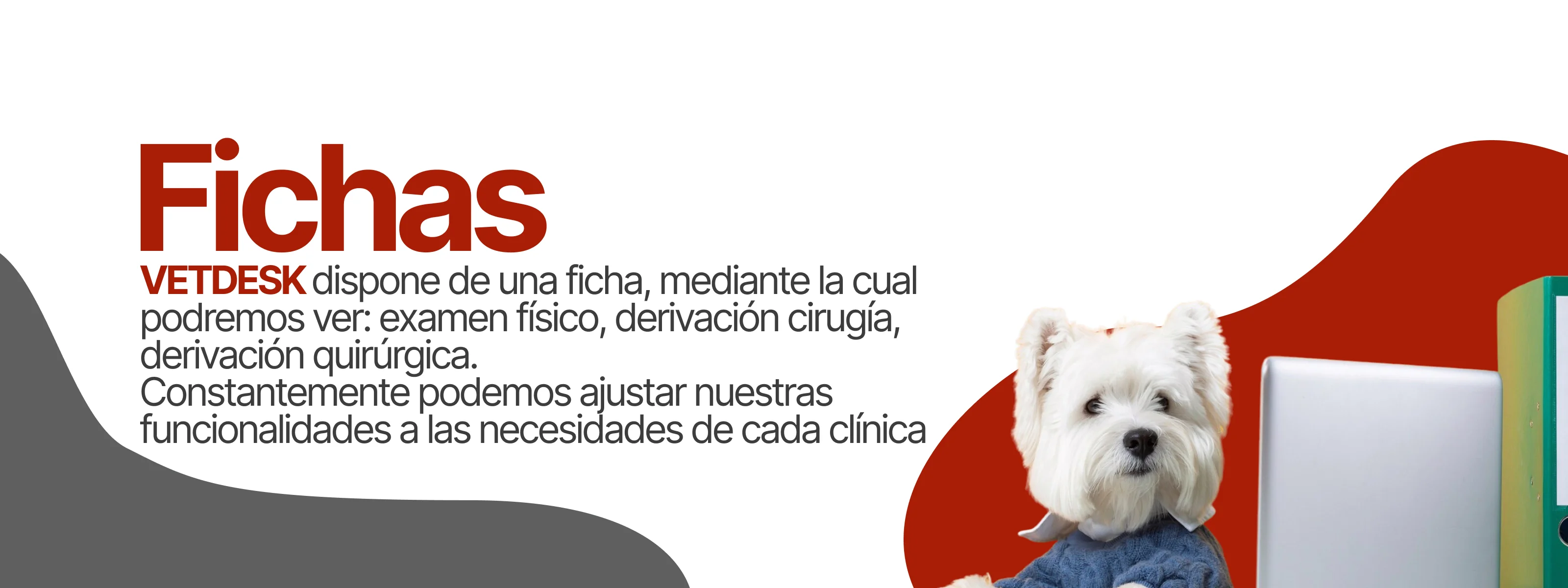 Fichas veterianrias del sistema VETDESK