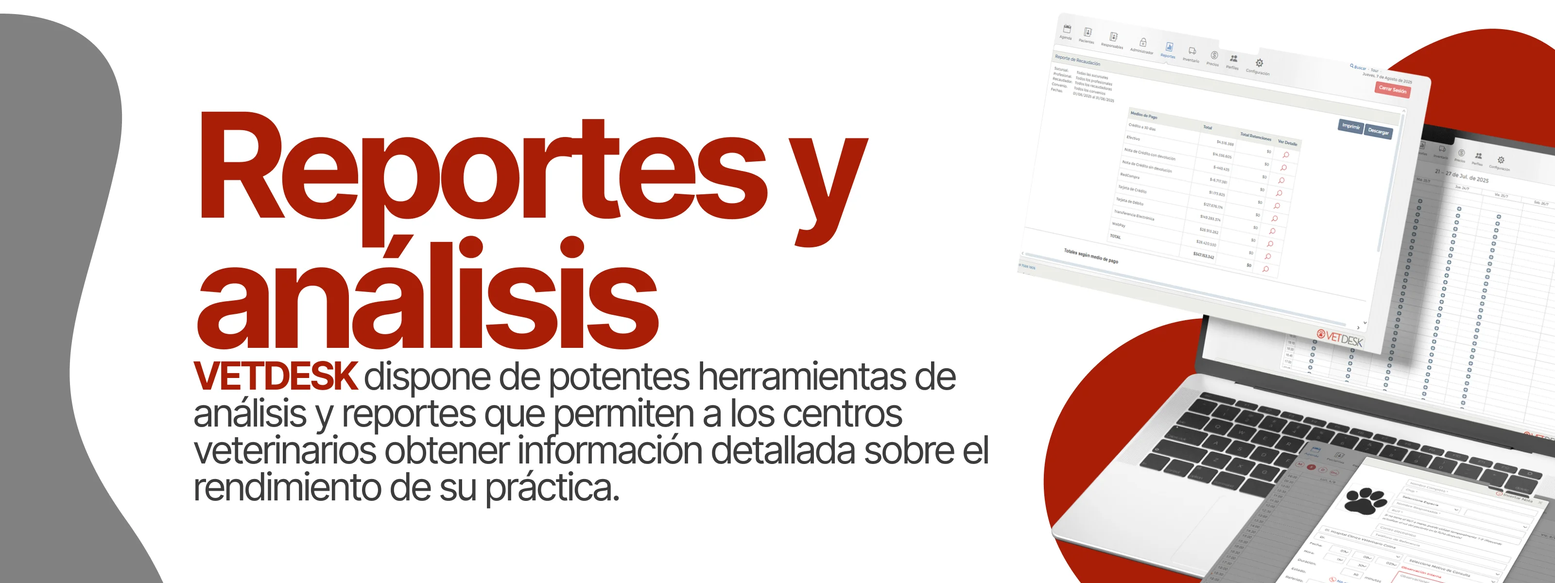 Reportes veterinarios del sistema VETDESK